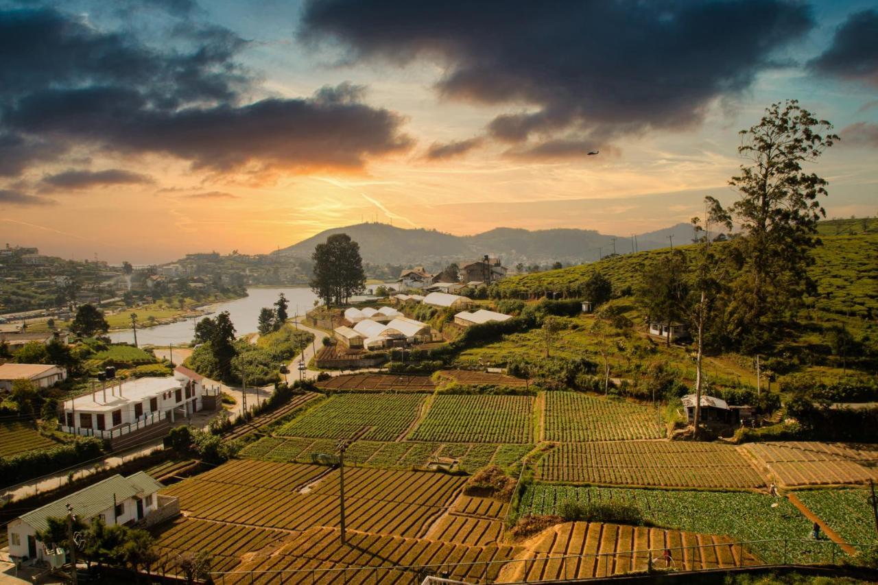 Moon Plains Luxury Apartments นูวาราเอลิยา ภายนอก รูปภาพ