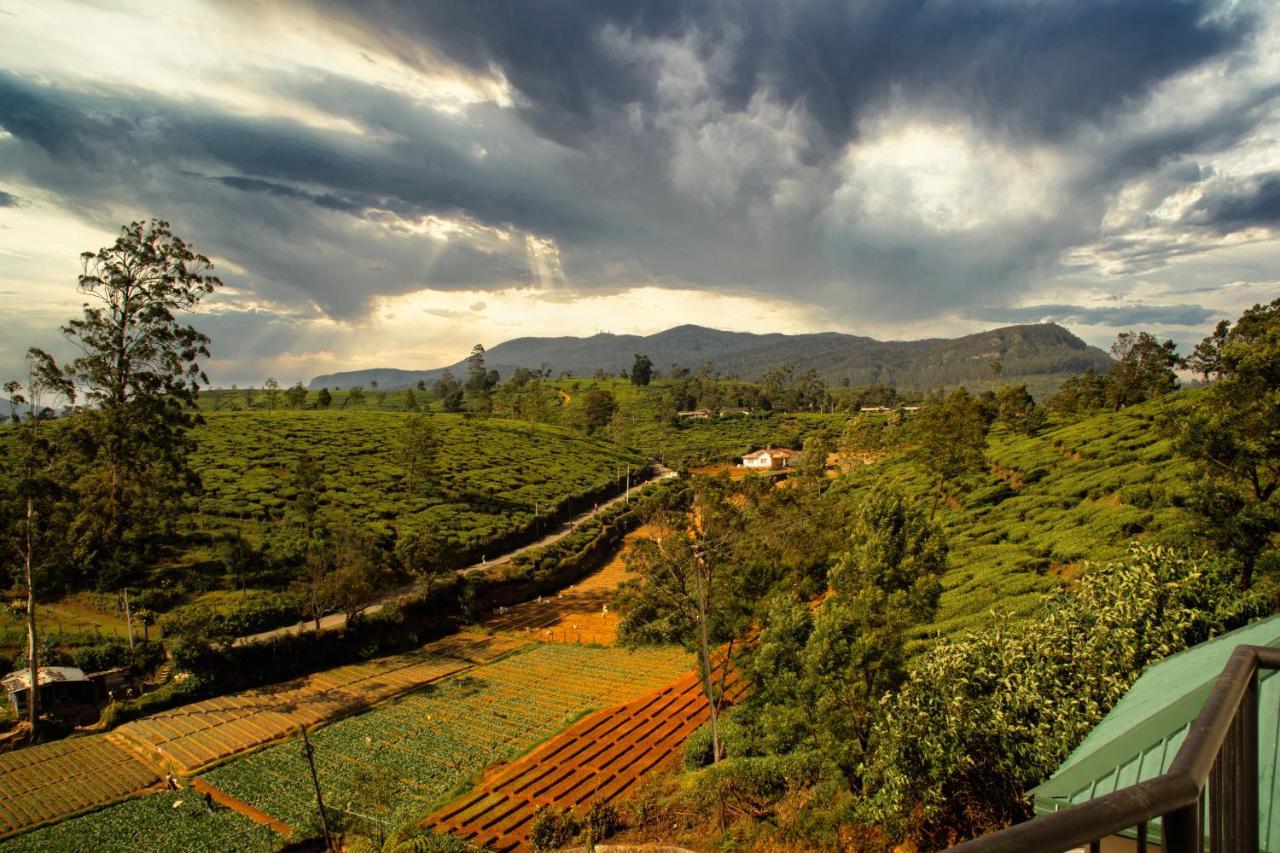 Moon Plains Luxury Apartments นูวาราเอลิยา ภายนอก รูปภาพ